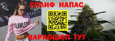 мдпв Пугачёв