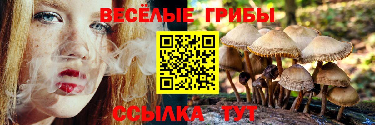 Псилоцибиновые грибы Psilocybine cubensis Советская Гавань