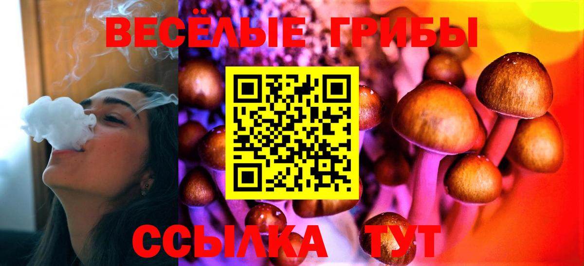 как найти закладки  Вход с VPN  Советская Гавань  Галлюциногенные грибы мухоморы 